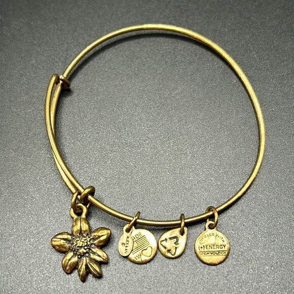 Alex and Ani Apple Blossom Sacred Garden Rafaelian Gold Bangle Bracelet - Picture 1 of 4